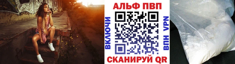 Альфа ПВП СК  Карачаевск 