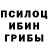 Псилоцибиновые грибы Magic Shrooms Mindum Elena