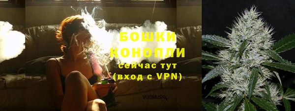 молекула духа Бронницы